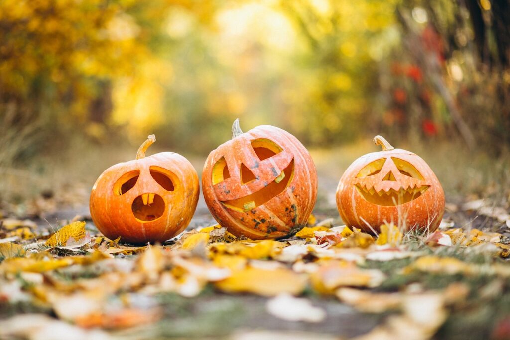 ハロウィンカラーの意味」 | 花と心の学校