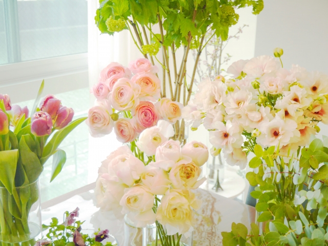 冬でも春の花が楽しめるっていいね〈流通のしくみ〉