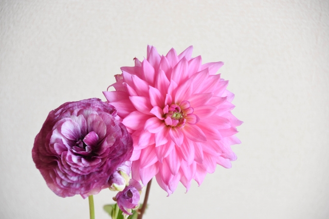 和花と洋花のおしゃれな組み合わせアレンジ