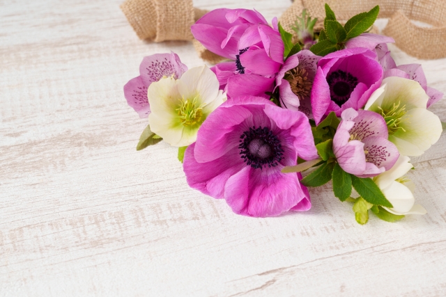 花が健康と心に及ぼす影響