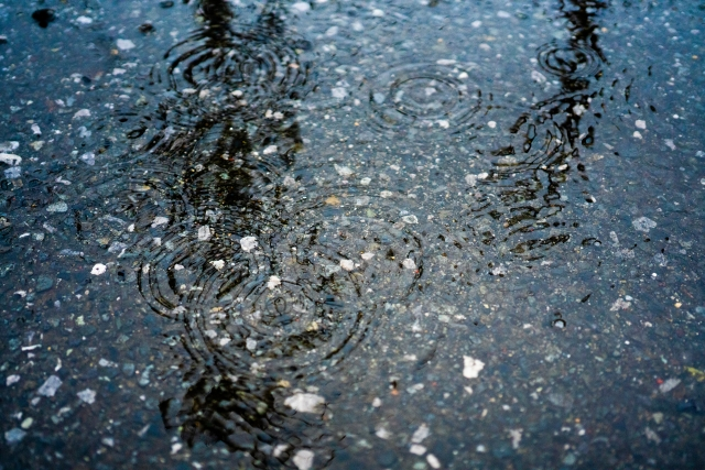モノトーンの雨の日に、気持ちを晴れやかにするカラーセラピー
