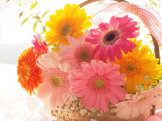 お花好きさん、花日記をつけてみませんか？